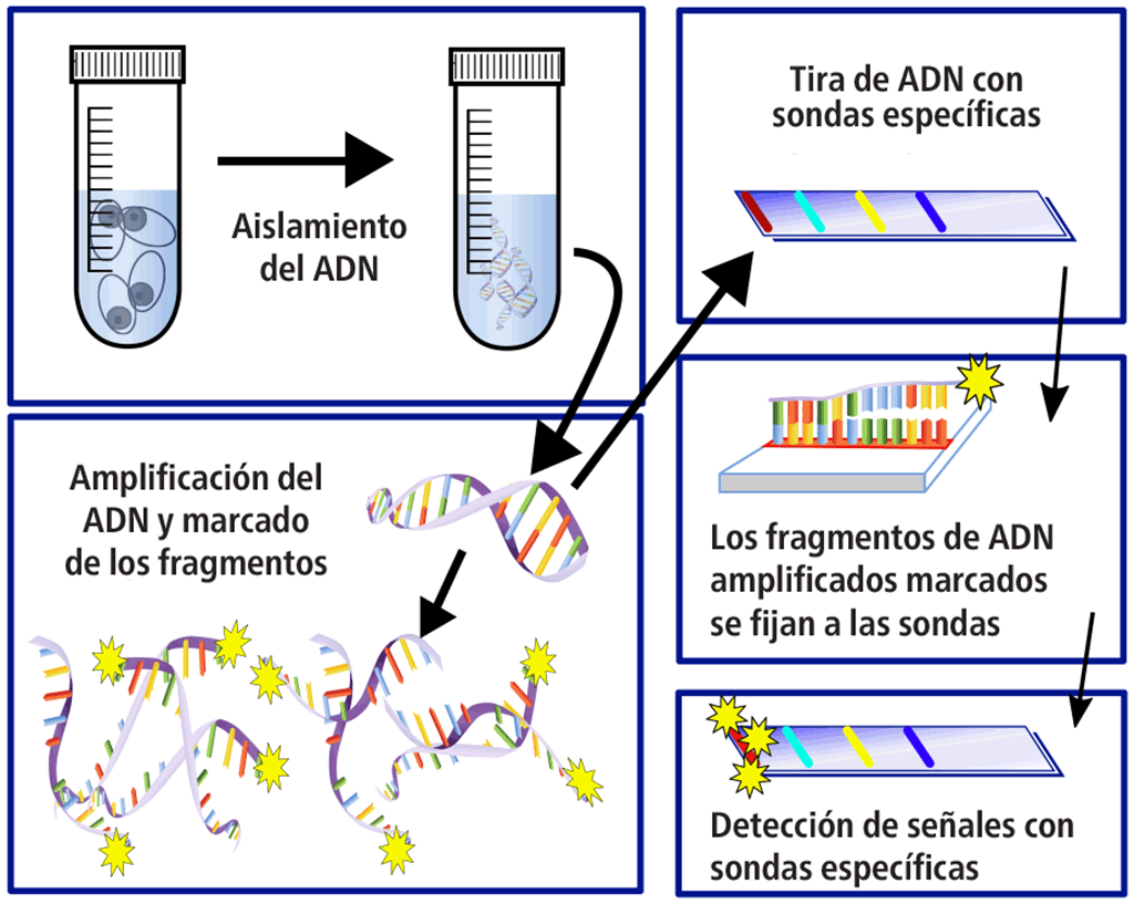 fig2.2.5