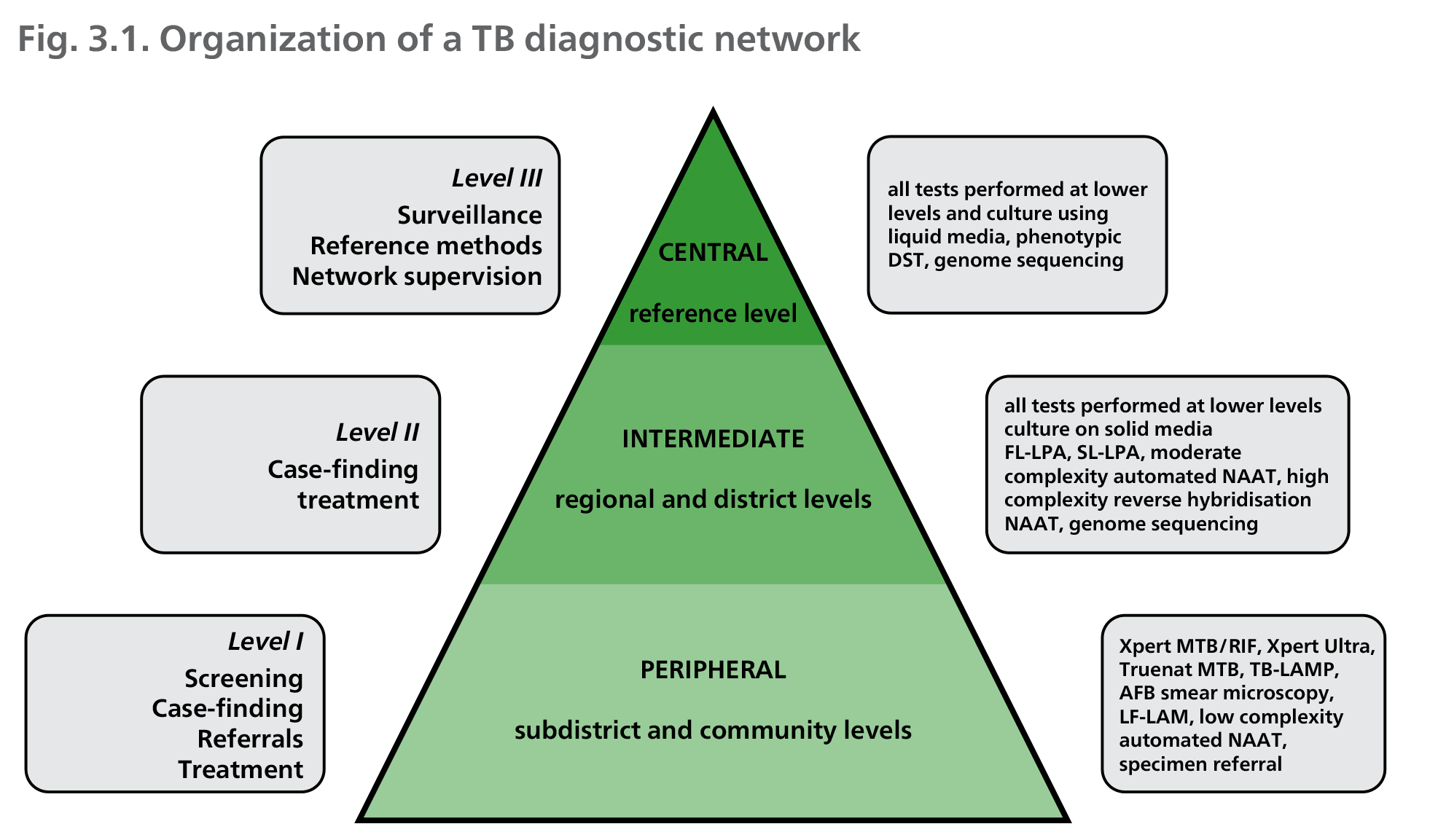 Organization of a TB diagnostic network