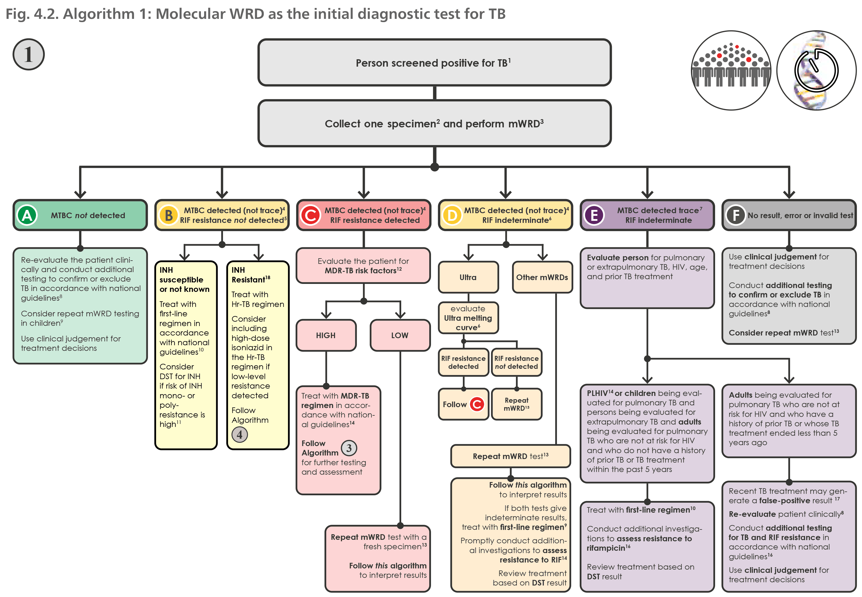 Algorithm 1: Molecular WRD as the initial diagnostic test for TB 