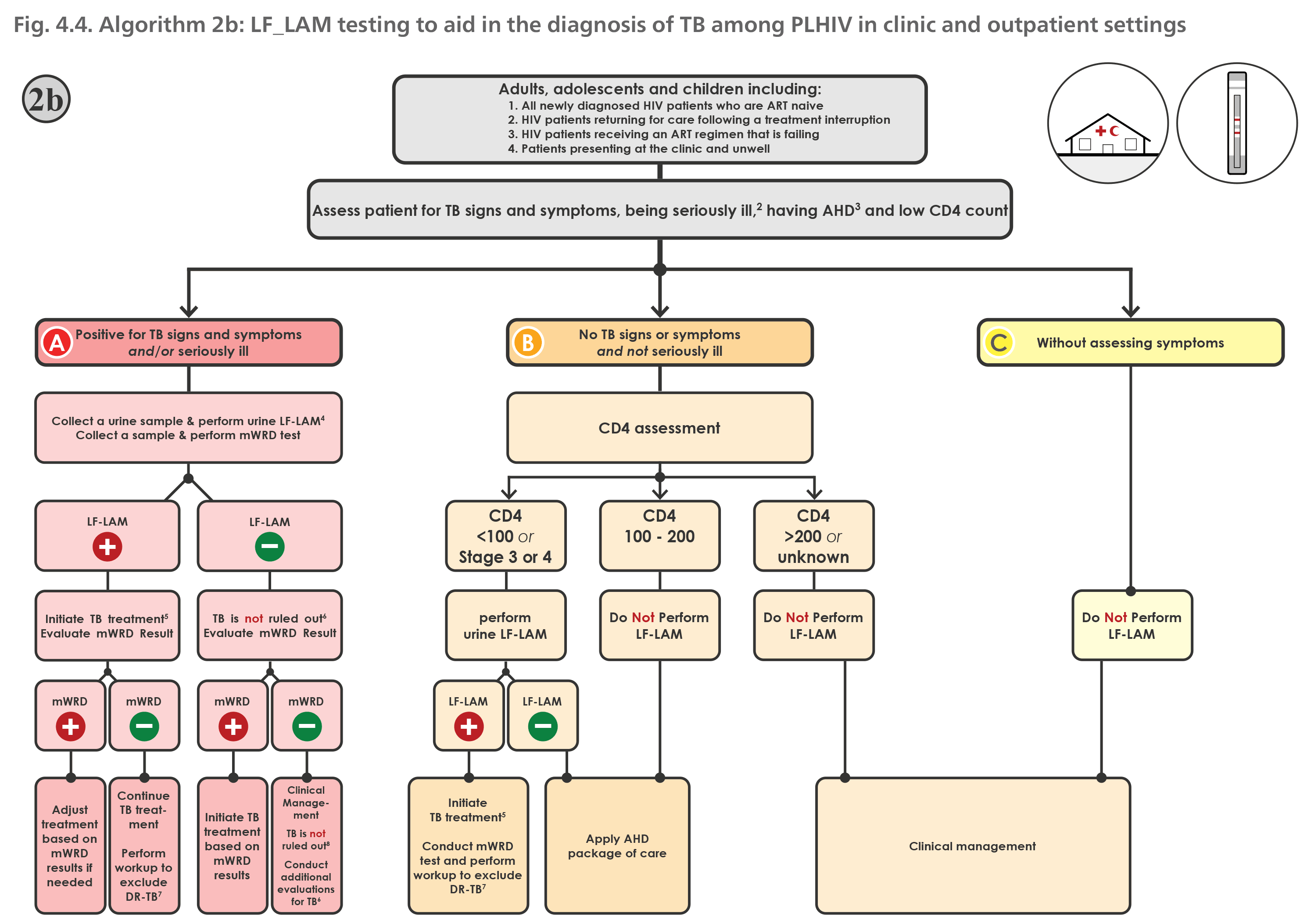 Algorithm 2b: LF_LAM testing to aid in the diagnosis of TB among PLHIV in clinic and outpatient settings