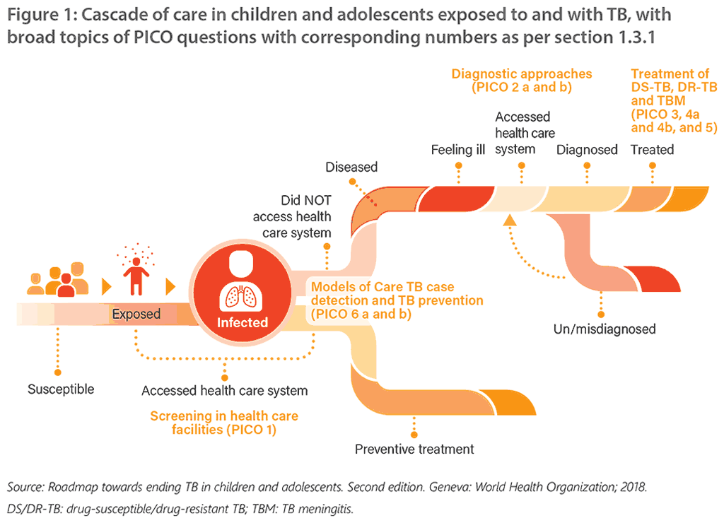 Cascade of care in children and adolescents exposed to and with TB