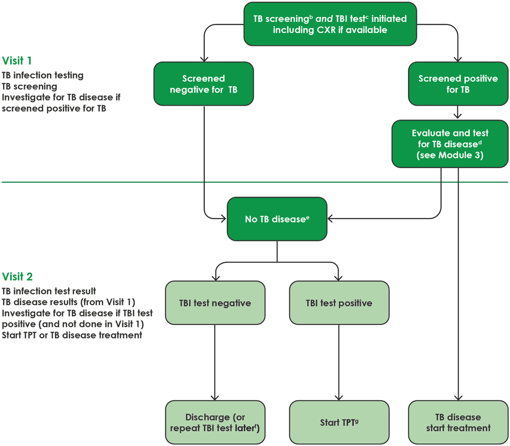Fig. 2.1. Algorithm for person-centred TB infection care; integrated infection  and disease assessment where TB infection testing is availablea  and  recommended