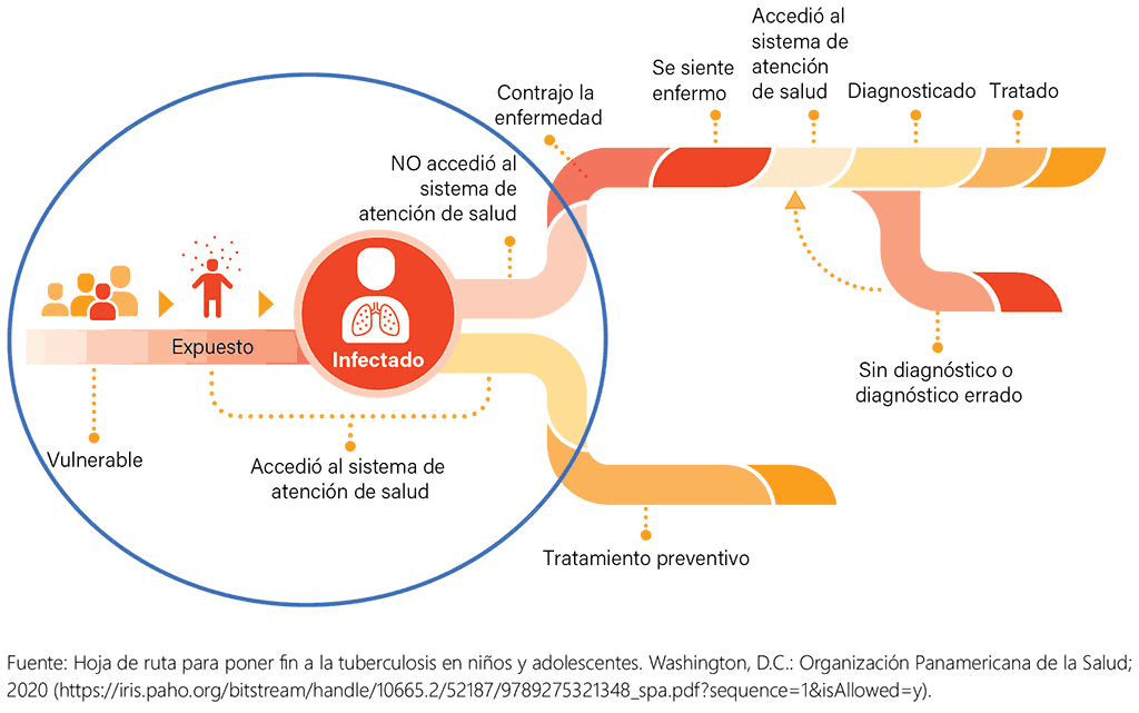 Pathway through exposure, infection and disease covered in Chapter 2