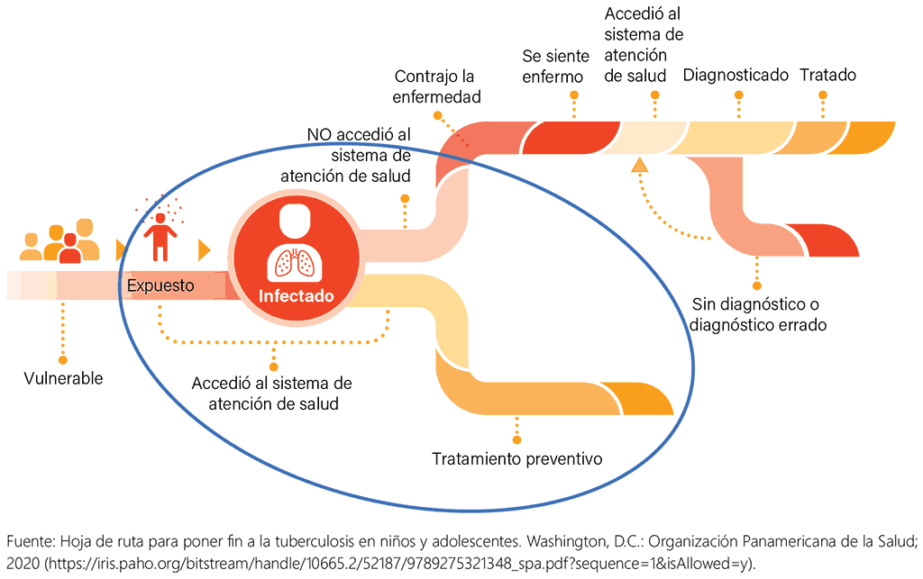 Figure 3.1. Pathway through exposure, infection and disease covered in Chapter 3
