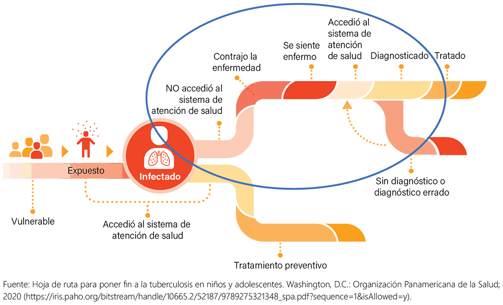 Figure 4.1. Pathway through exposure, infection and disease covered in Chapter 4