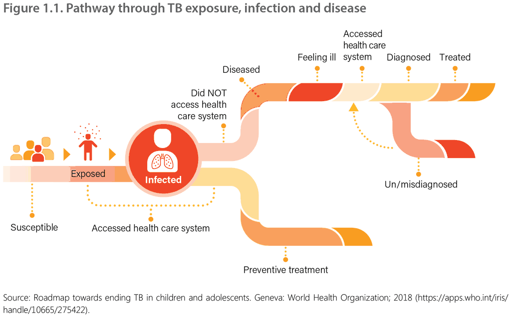 Pathway through TB exposures, infection and disease