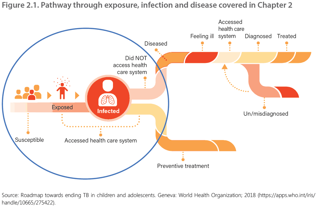 Pathway through exposure, infection and disease covered in Chapter 2