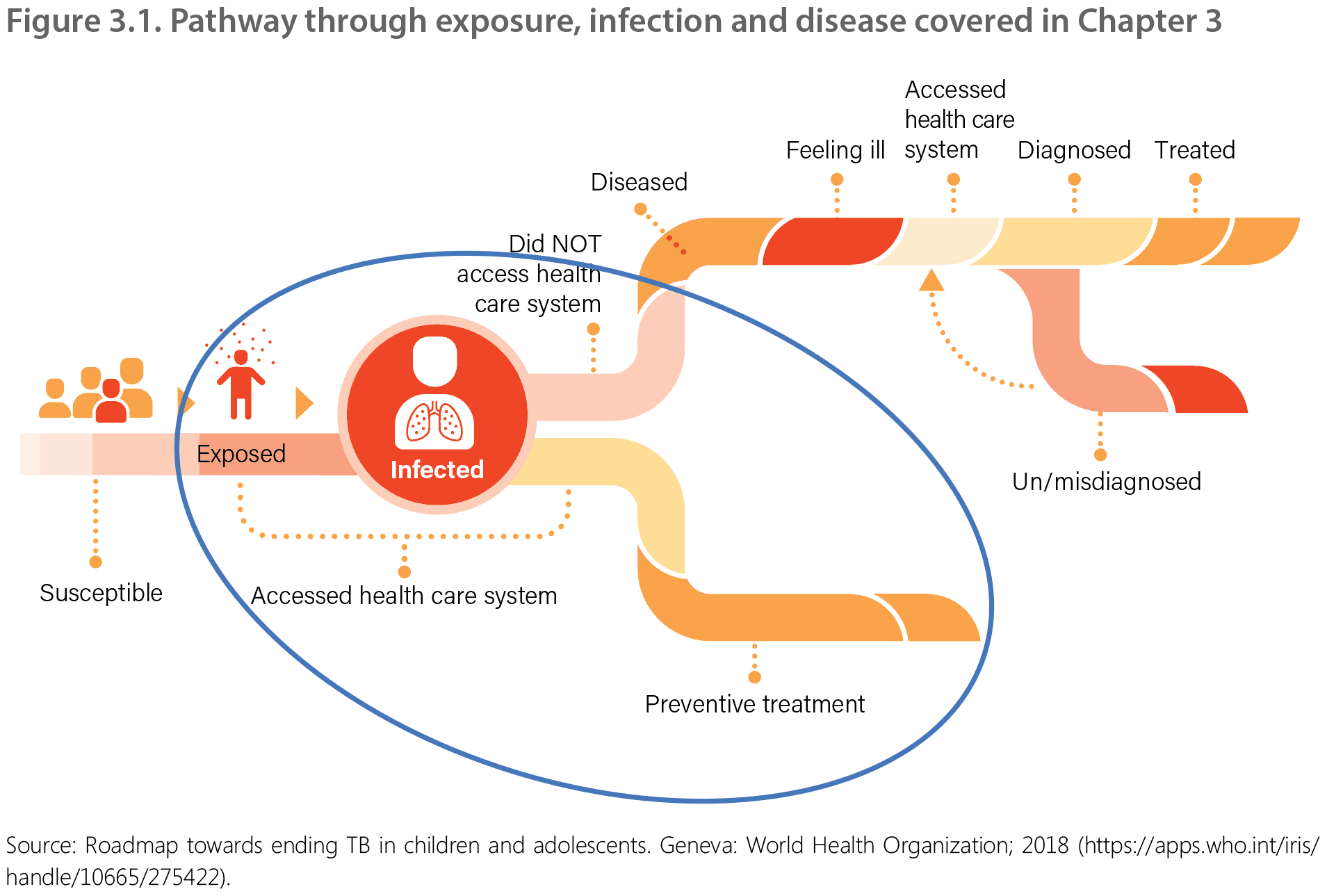 Figure 3.1. Pathway through exposure, infection and disease covered in Chapter 3