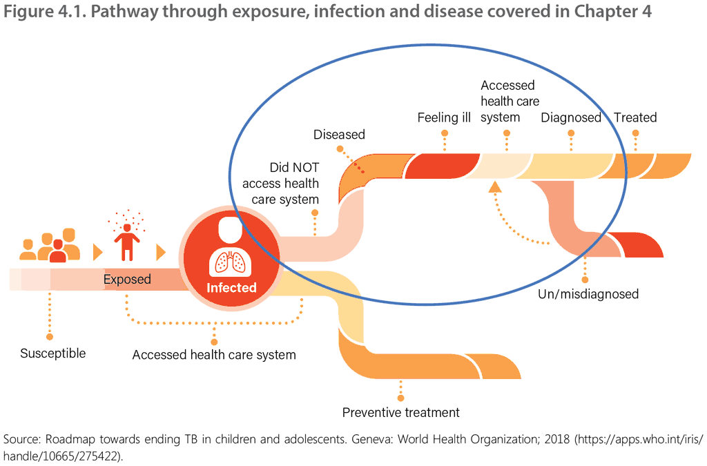 Figure 4.1. Pathway through exposure, infection and disease covered in Chapter 4